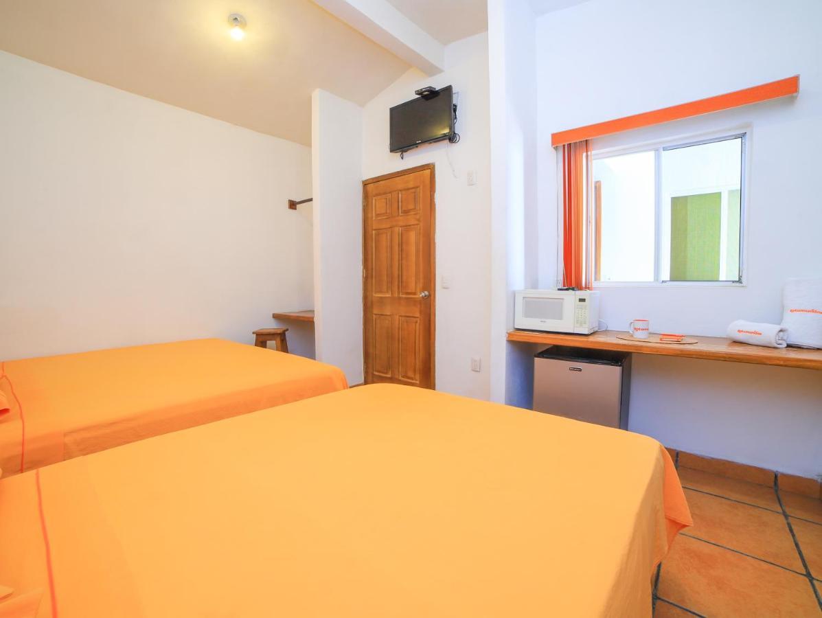 Guest house Bm Zihua 2*